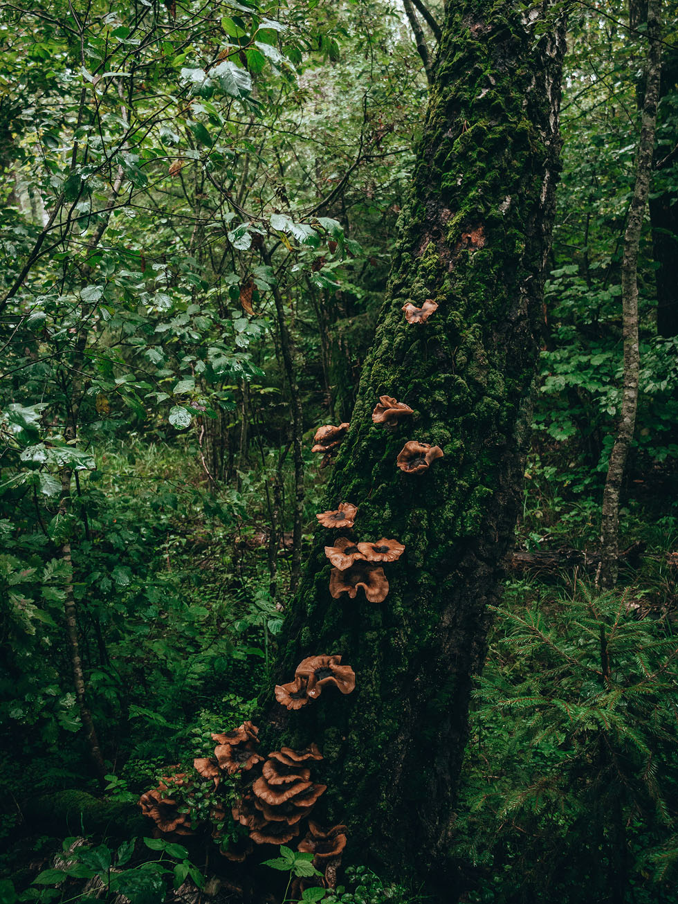alea-film-UGAGO3YJ4Kk-unsplash 1